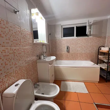 Apartment Camera Regim Hotelier Timisoara